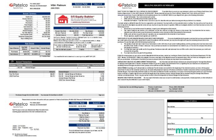 Szablon wyciągu bankowego Usa California Patelco Credit Union w formacie Word i PDF